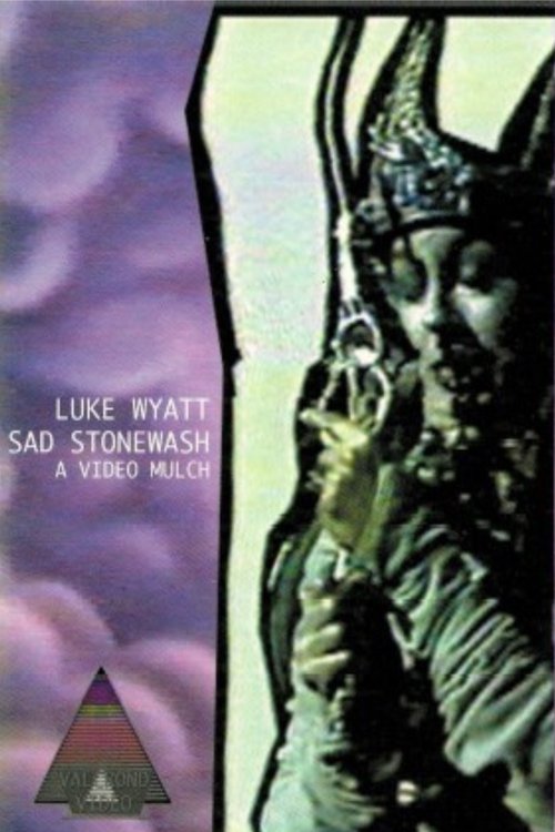 Sad Stonewash (2010) poster