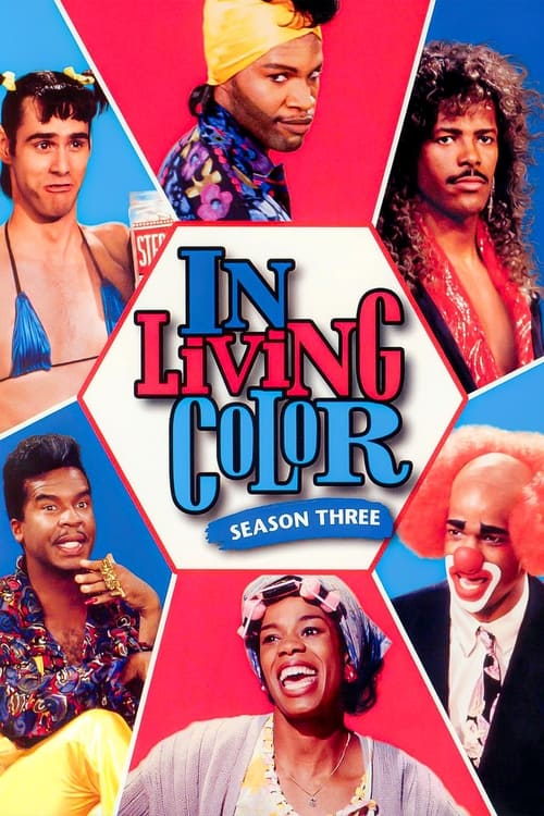 Póster de la temporada 3 de la serie In Living Color