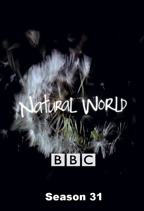 Natural World, S31 - (2011)