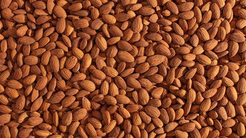An Almond's Escape Backdrop Blur