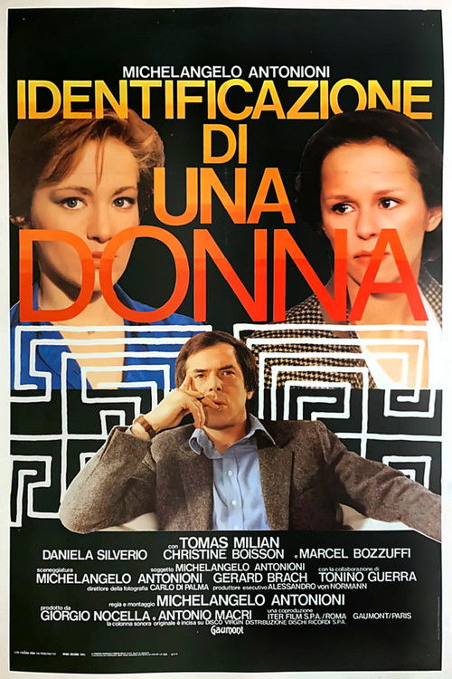 Identification of a Woman poster