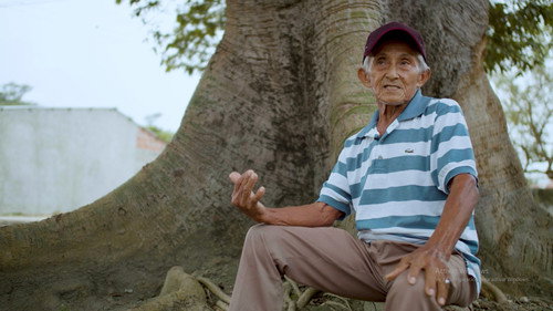 Gaita: Instrumento de paz y resistencia Backdrop Blur
