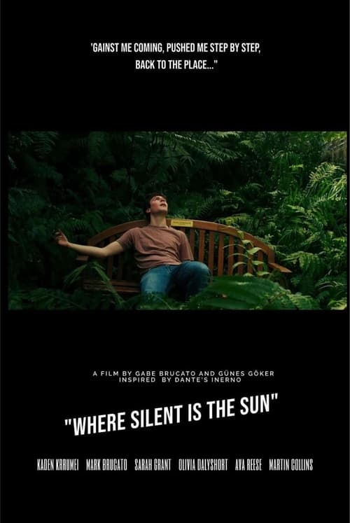 Where Silent is the Sun (2024) poster