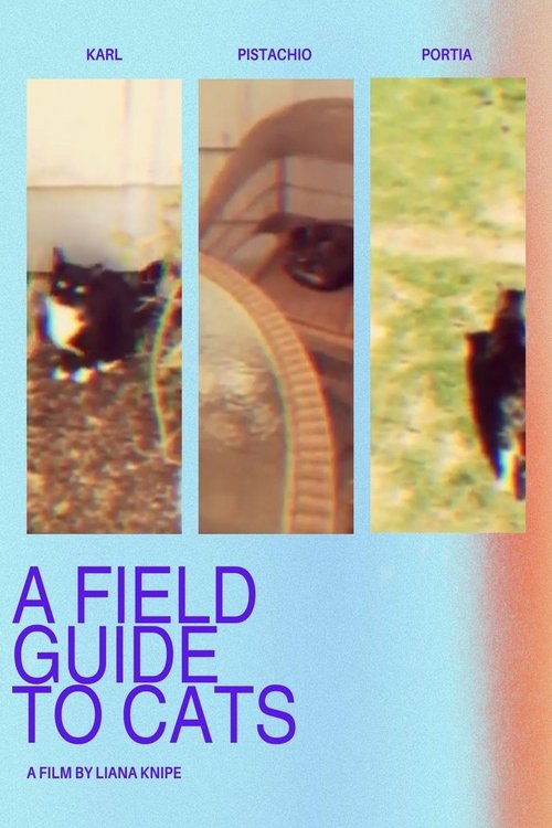 A Field Guide to Cats (2015) poster