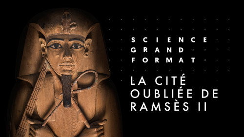 Image La cité oubliée de Ramsès II