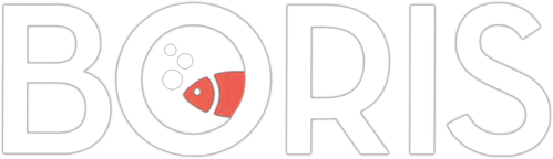 Boris official logo
