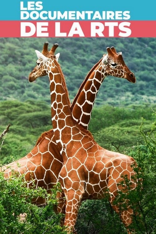 Maman girafe 2020