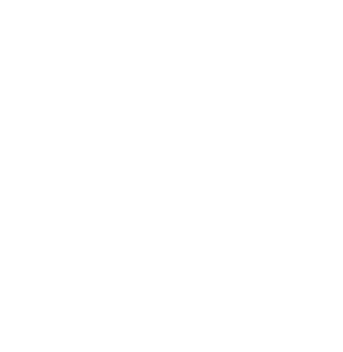 Moon in the Day