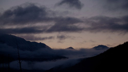 Prettier in Whittier