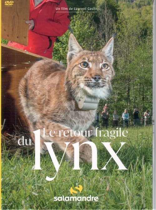 Poster Le Retour fragile du lynx 2021