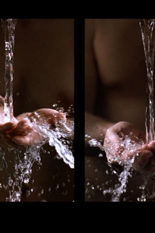 Ablutions 2005