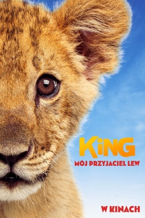 King: Mój przyjaciel lew