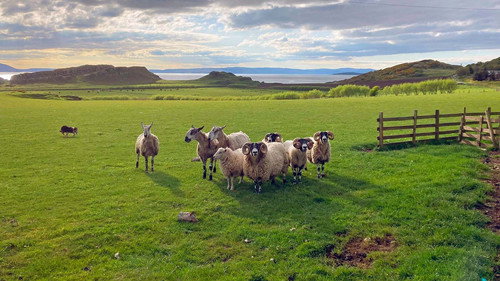 Unterwegs in Schottland Backdrop Blur