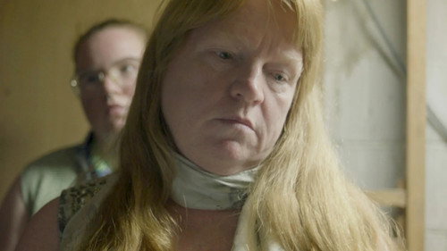 لصاقة حلقة The Good Wife