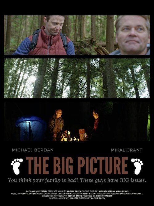 The Big Picture (2021) poster