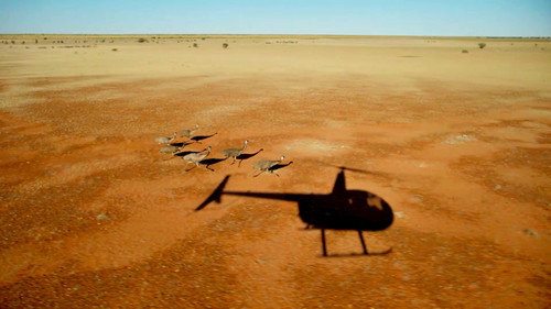 Ray Martin: Mysteries Of The Outback