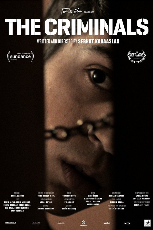The Criminals poster