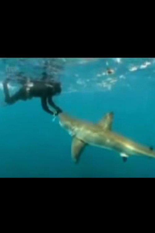 Sharkman movie poster player