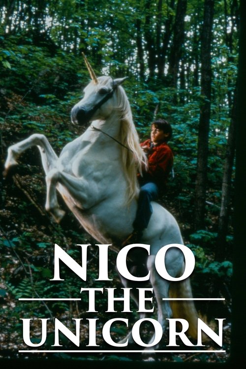 Nico the Unicorn poster