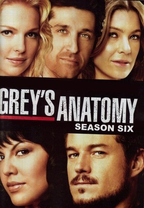 Grey’s Anatomy 6ª Temporada Torrent (2009) WEB-DL 720p Dublado / Dual