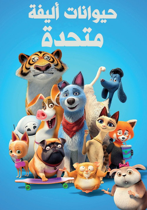 حيوانات أليفة متحدة