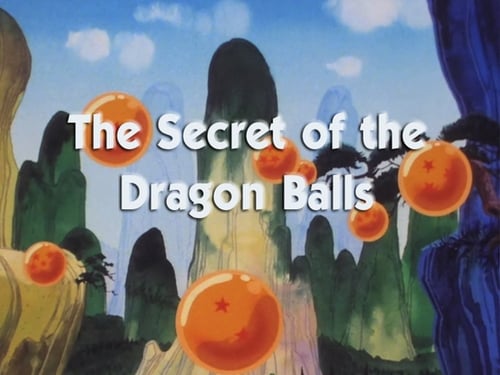 Dragon Ball: 1×1