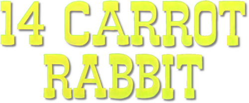 14 Carrot Rabbit