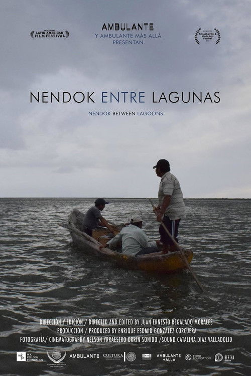 Nendok ndër lagunat poster