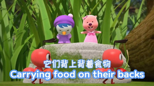 啵乐乐昆虫儿歌 - Season 1 Backdrop Blur