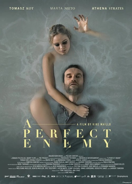 A Perfect Enemy poster