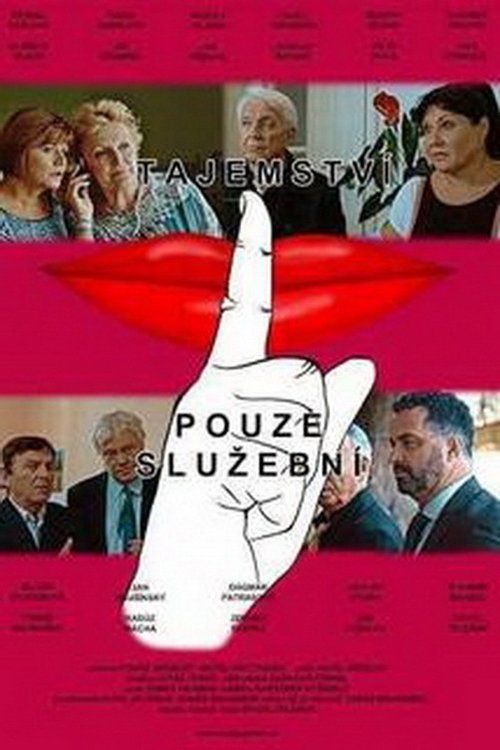 Ver pelicula Tajemství pouze služební Online