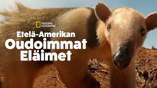 South America's Weirdest Animals