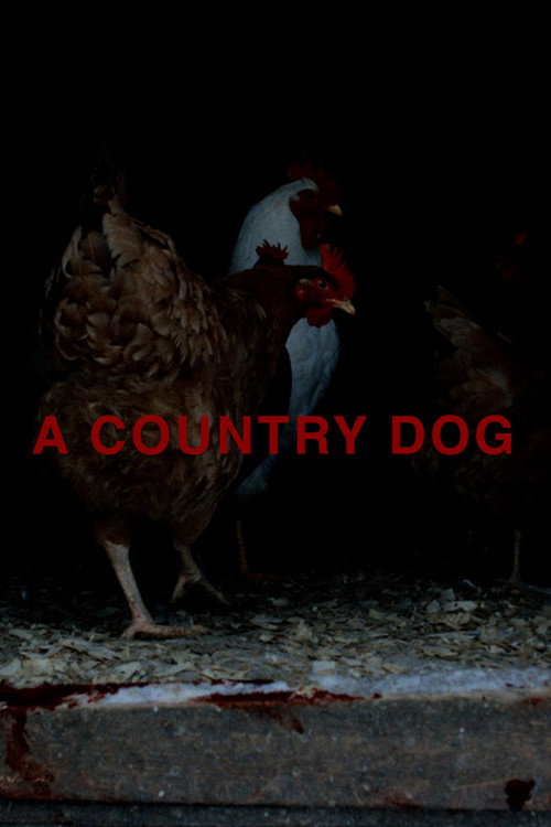 Affiche de A Country Dog
