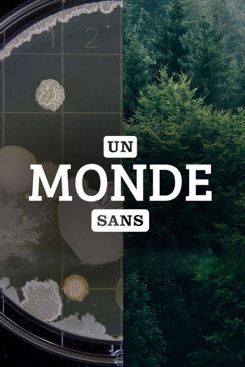 Un monde sans...