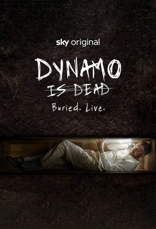 Poster Dynamo is Dead 2023