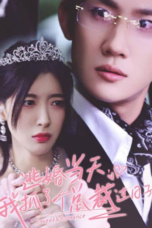 逃婚当天，我抓了个总裁过日子