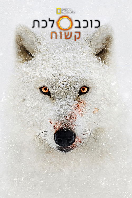 כוכב לכת קשוח