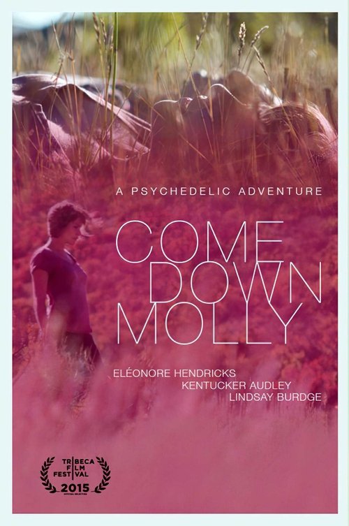 Come Down Molly movie poster player