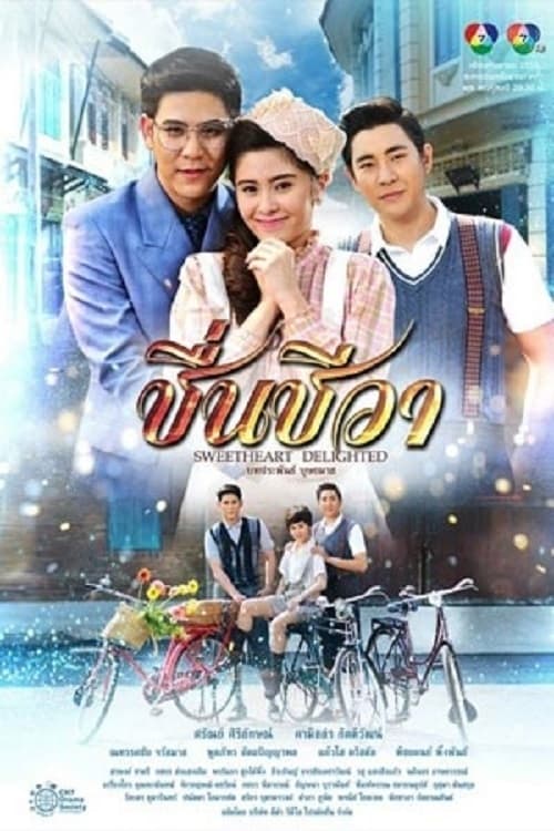 Poster for Sweetheart Delighted (2016)