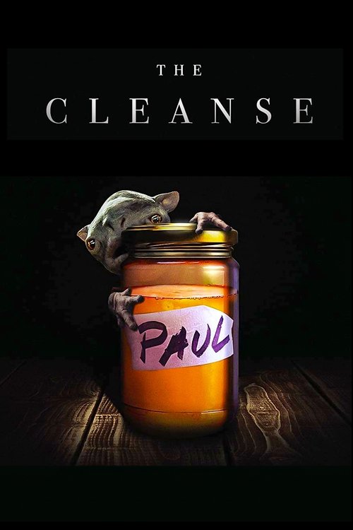 The Cleanse poster