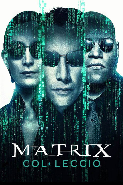 Pòster de Matrix - Col·lecció