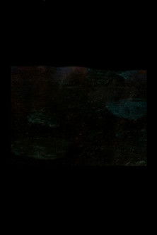 Novembre (Le ninfee)