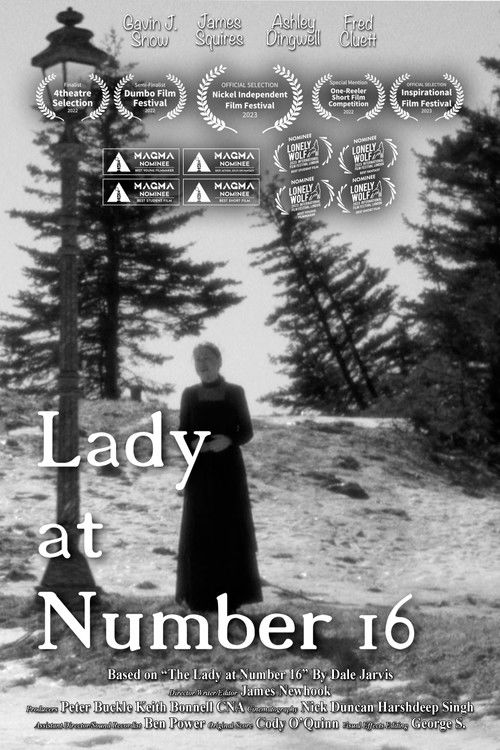 Lady at Number 16 poster