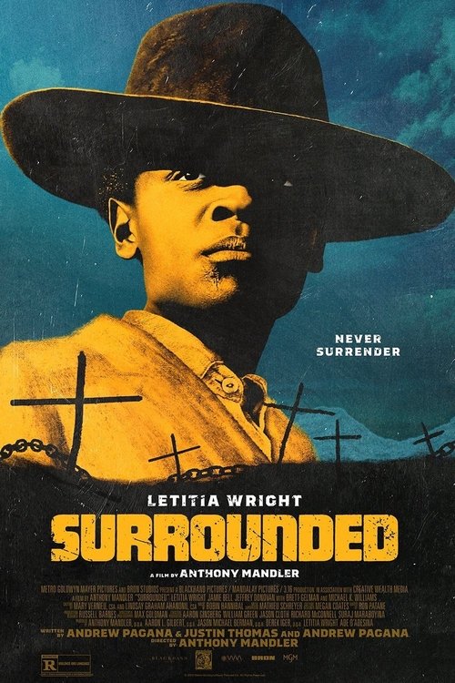 Surrounded poster