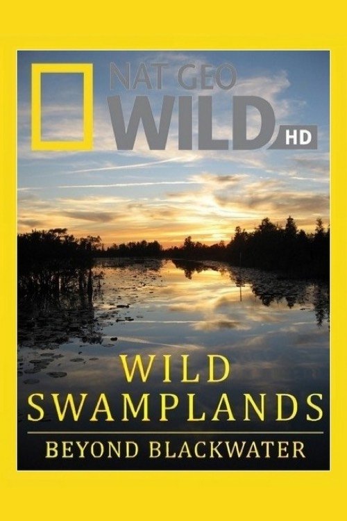 Swamplands USA movie poster player