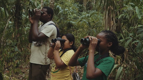 Image du film
