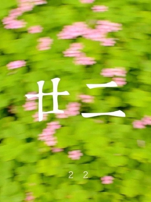 廿二