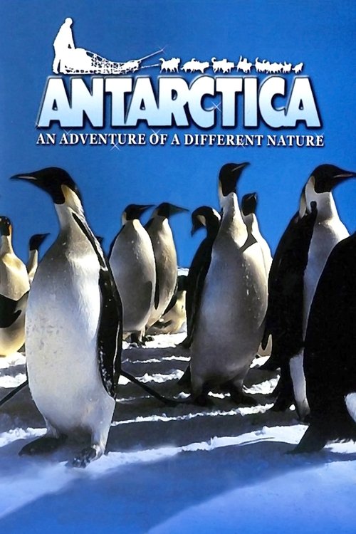 Antarctica 1991