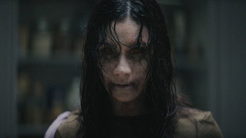 Evil Dead Burn