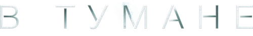 В тумане